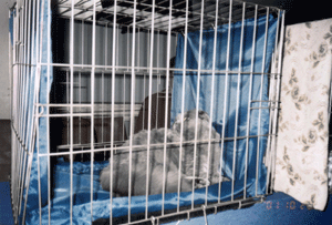 На выставке